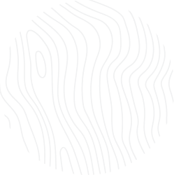 harry.nikhilrabadiya.com